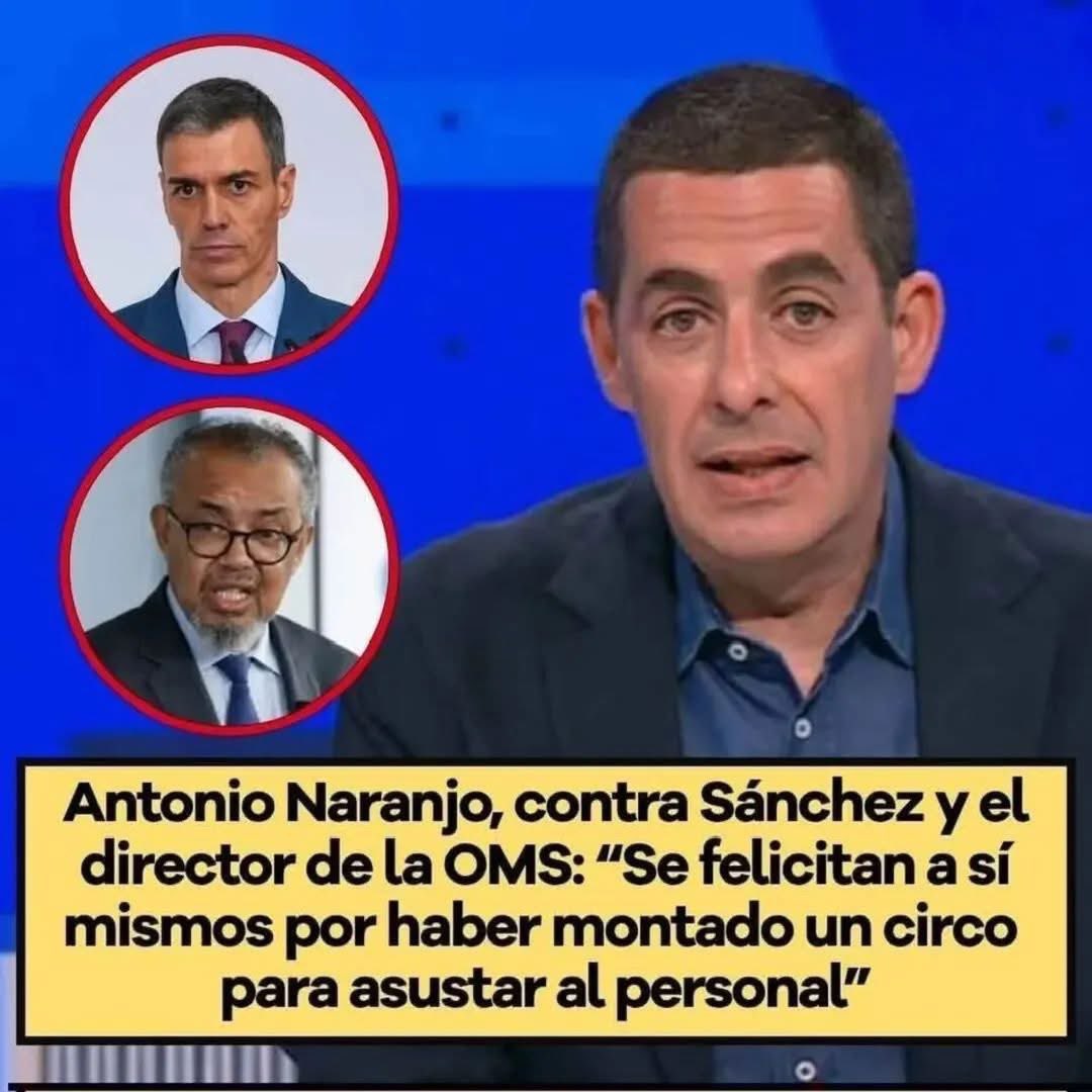 GanaElPSOE tweet media