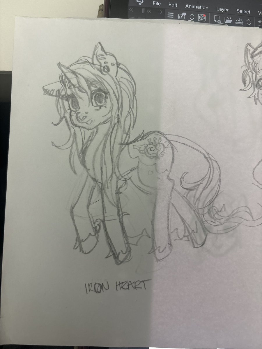 coconnuthead's tweet photo. traditional ponies https://t.co/VAcomrXA18
