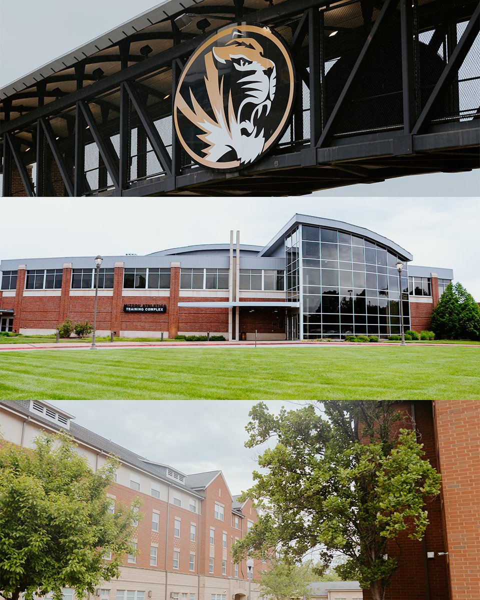 Mizzou Volleyball tweet media