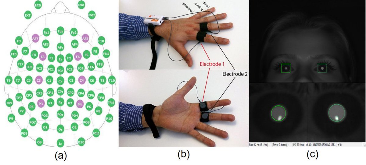 Neuroelectrics's tweet photo. Centroid-optimized k-means improved cognitive workload classification across eight multimodal datasets.

Our #Enobio provided EEG within a multimodal pipeline.

Explore Enobio: https://t.co/TXw8qlquGl
Paper: https://t.co/NWPTJKAa1u

#EEG #CognitiveWorkload #HCI https://t.co/cWeKKQ9q0A