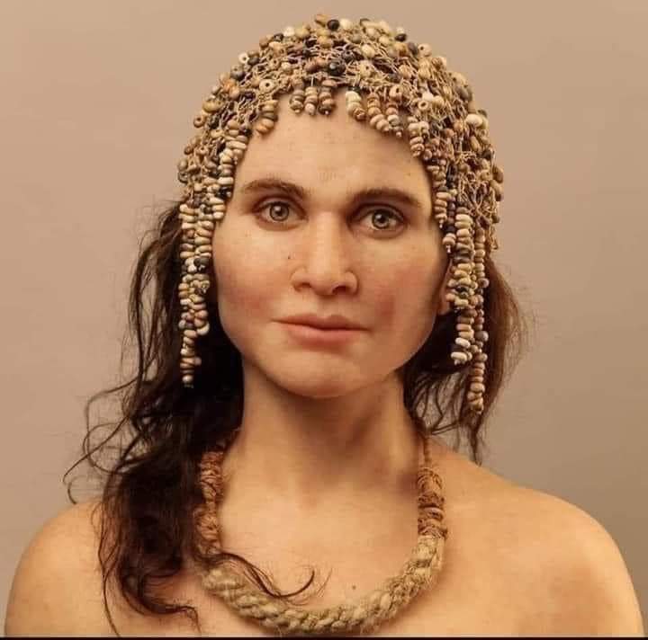Archaeo - Histories tweet media