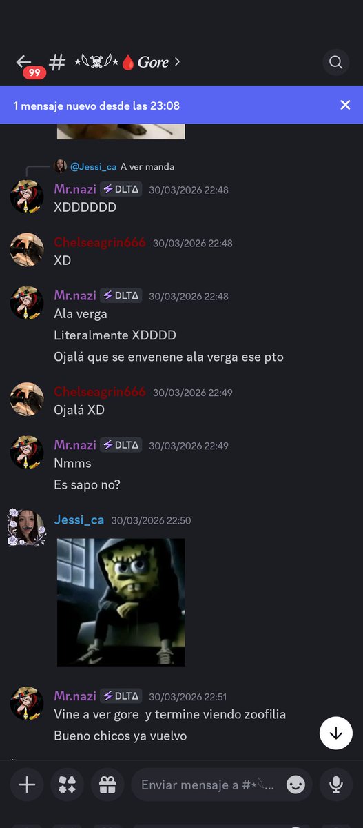 Pepitopro_200's tweet photo. Pruebas del discord de lino chan🔴👇 https://t.co/X1s7yDrg55