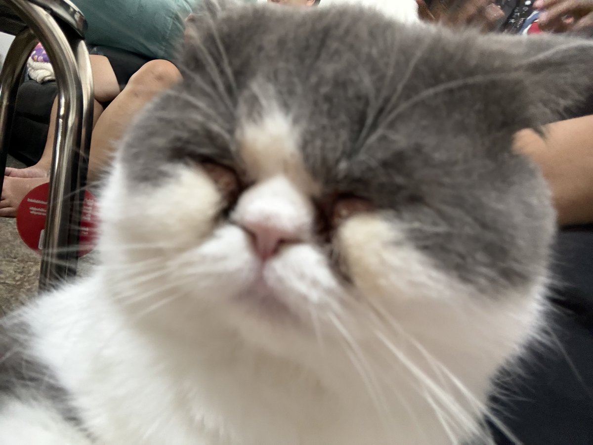 ︎୨୧ meɑnn⋆˙⟡ tweet media