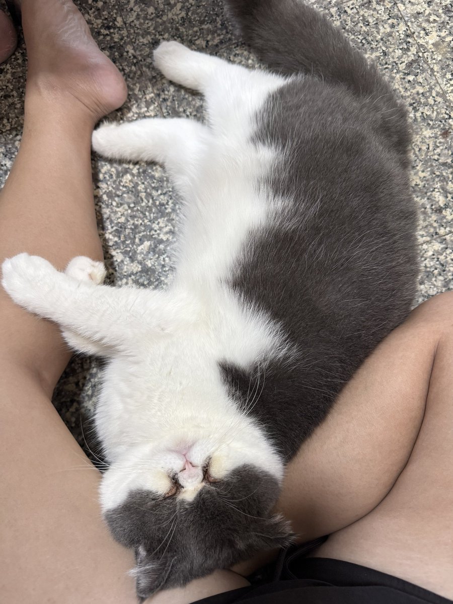 ︎୨୧ meɑnn⋆˙⟡ tweet media