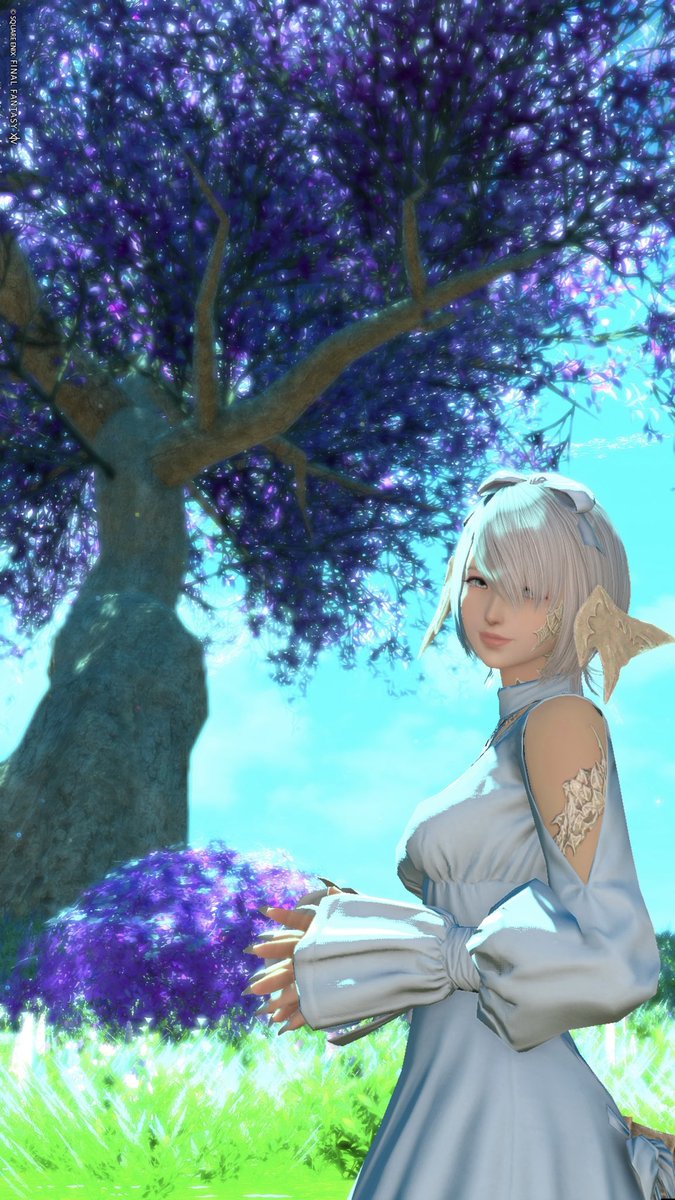 🐰ᩚʏ𝘂𝘂ෆ⸒⸒ tweet media
