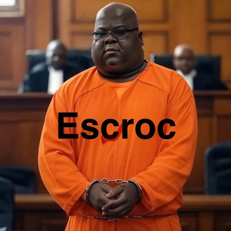 Don Ross tweet media