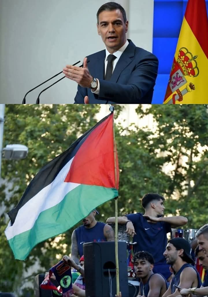مجتهد نجران tweet media