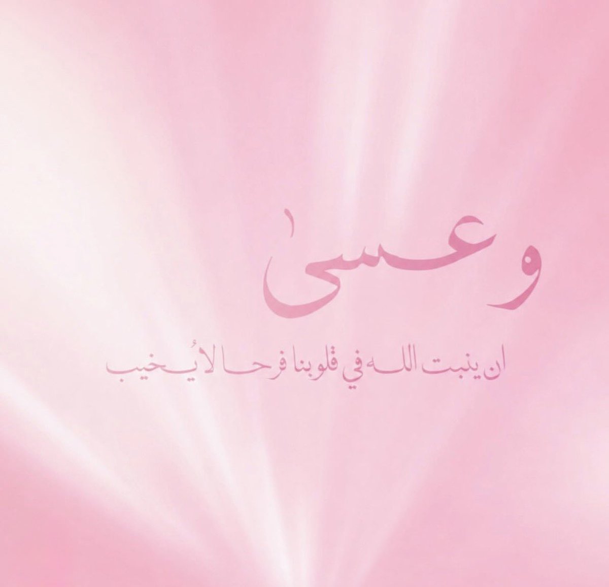 ♡ tweet media