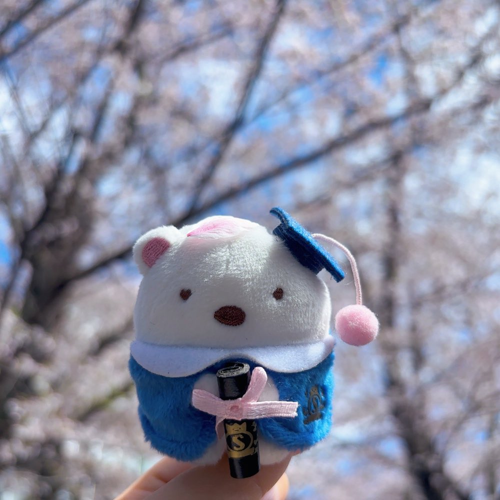 oshushidono's tweet photo. 突如🍜垢になってしまいましたがよろしくお願いいたします😊
綾瀬あやのです⭐️
出勤ツイートなどします🫶🫧

好きなものはパンケーキ、紅茶🫖
すみっコぐらし、リラックマ、ドラゴンボール❤️‍🔥 ♡⸝⸝⸝
趣味はぬい撮り、推し活です🍞 https://t.co/381Ak4EJuP