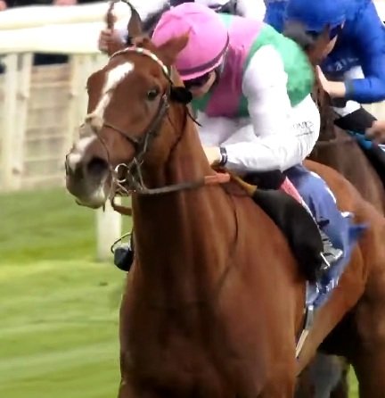 hipismo_mundial's tweet photo. YORK (Inglaterra): ¡1-2 para el extraordinario FRANKEL! El invicto ITEM extendió su récord a 3 triunfos imponiéndose en el DANTE S. (G3), cotizándose ahora 6-1 para el próximo Epsom Derby (G1).
https://t.co/4PMAPQuyAA https://t.co/4CMimGVpLx