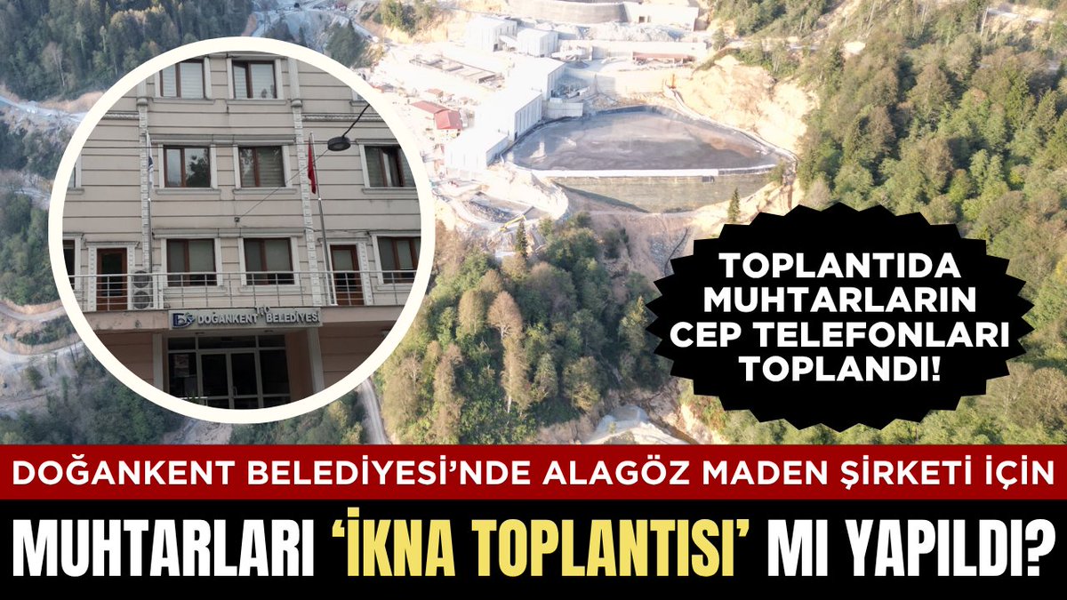 Barış T. tweet media