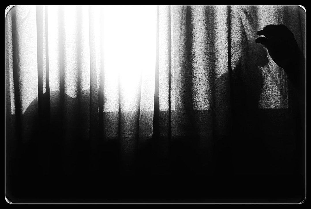 Reza1990Elmi's tweet photo. Ritual.
#AdmiralLady #DubThee #DigitalBlackOutIran https://t.co/yRecWTPdLL