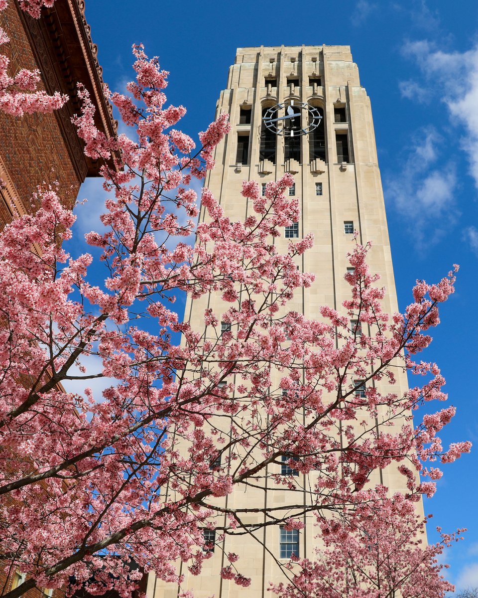 Alumni Association of the University of Michigan tweet media