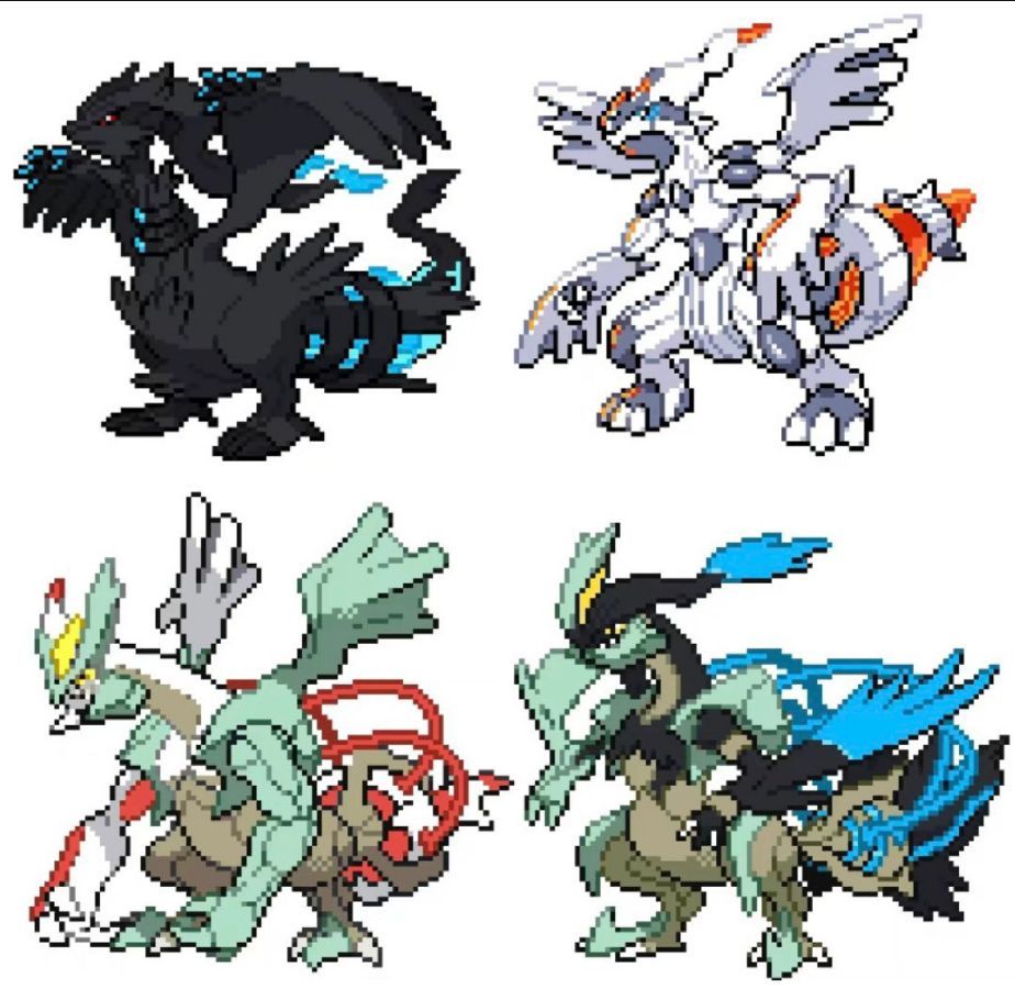 Pokémon Daily tweet media