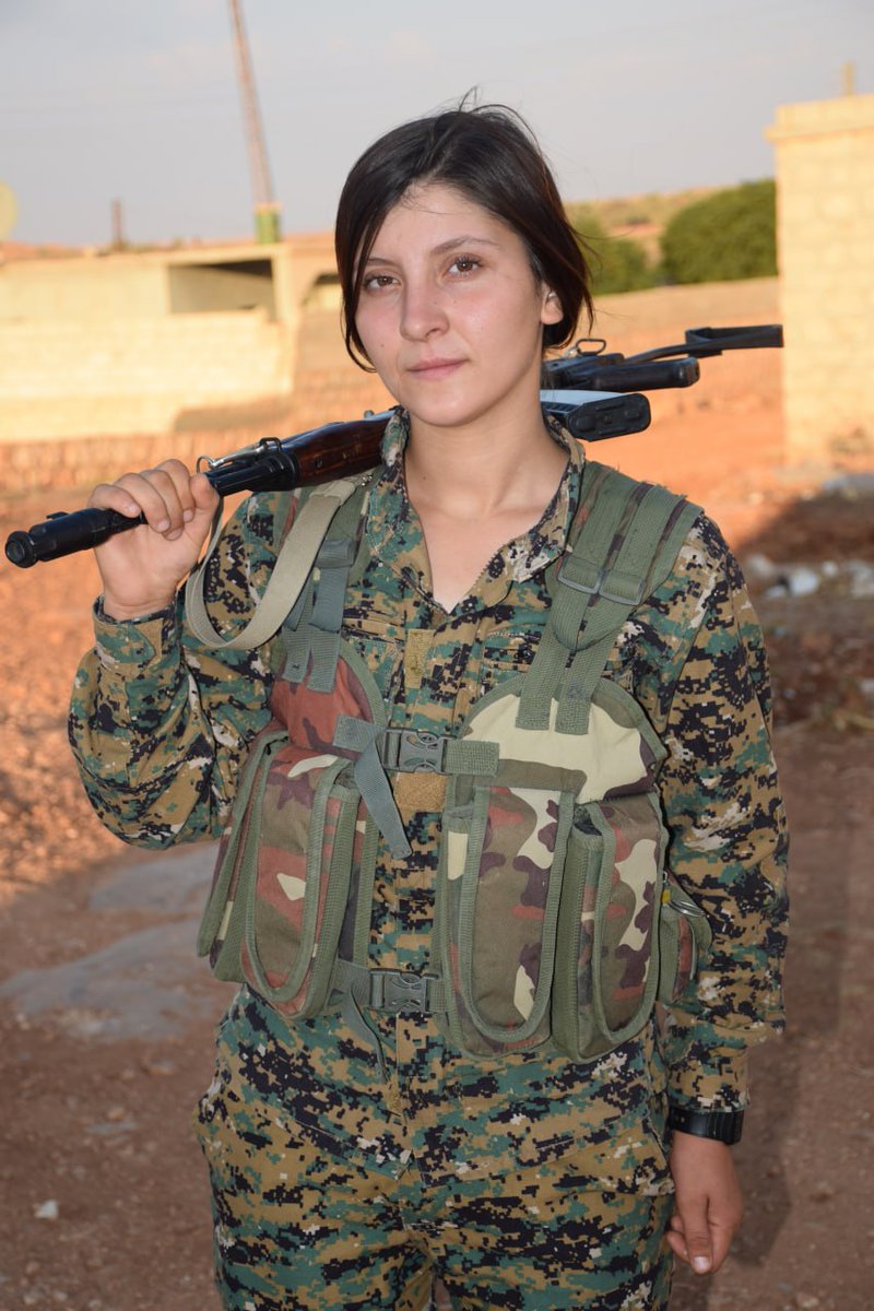 YPJ Information & Documentation Office tweet media