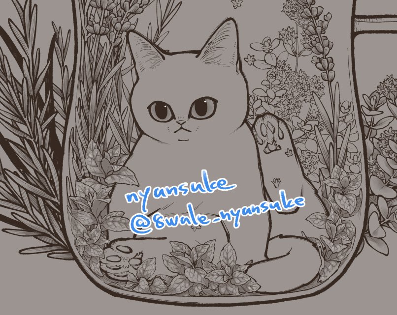 にゃんすけ (@8wale_nyansuke) / Posts / X