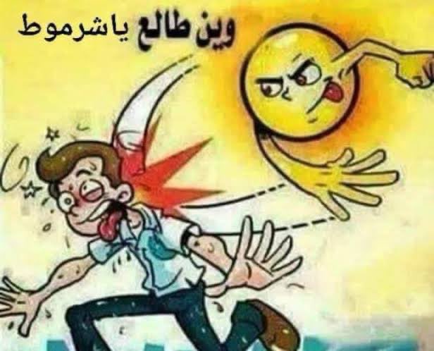 Mohammad tweet media