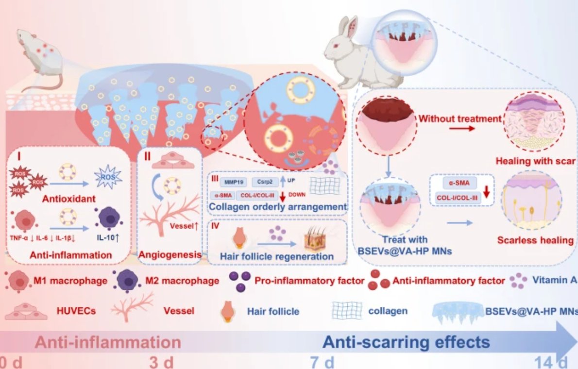 Extracellular Matrix News tweet media