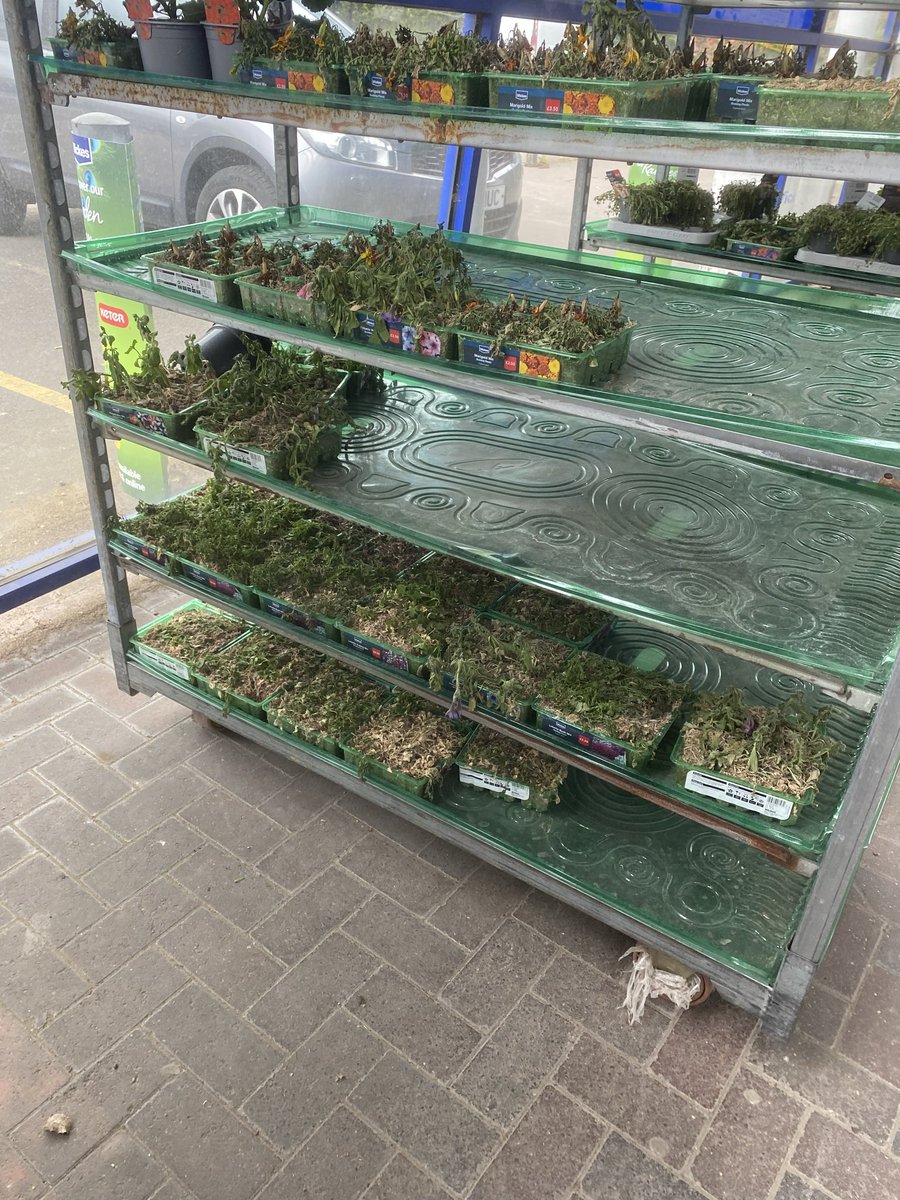 the-glasshouse.com tweet media