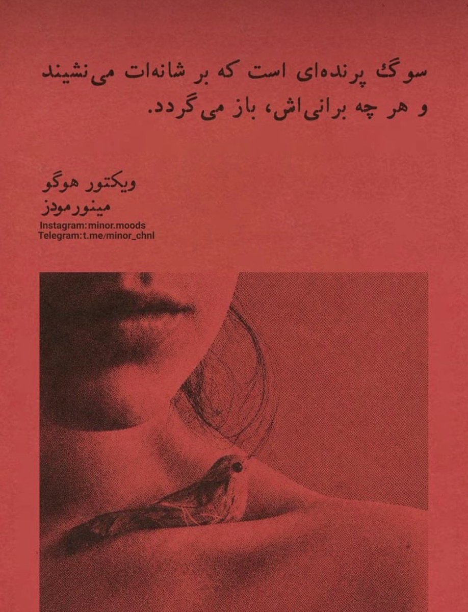 Farzaneh tweet media