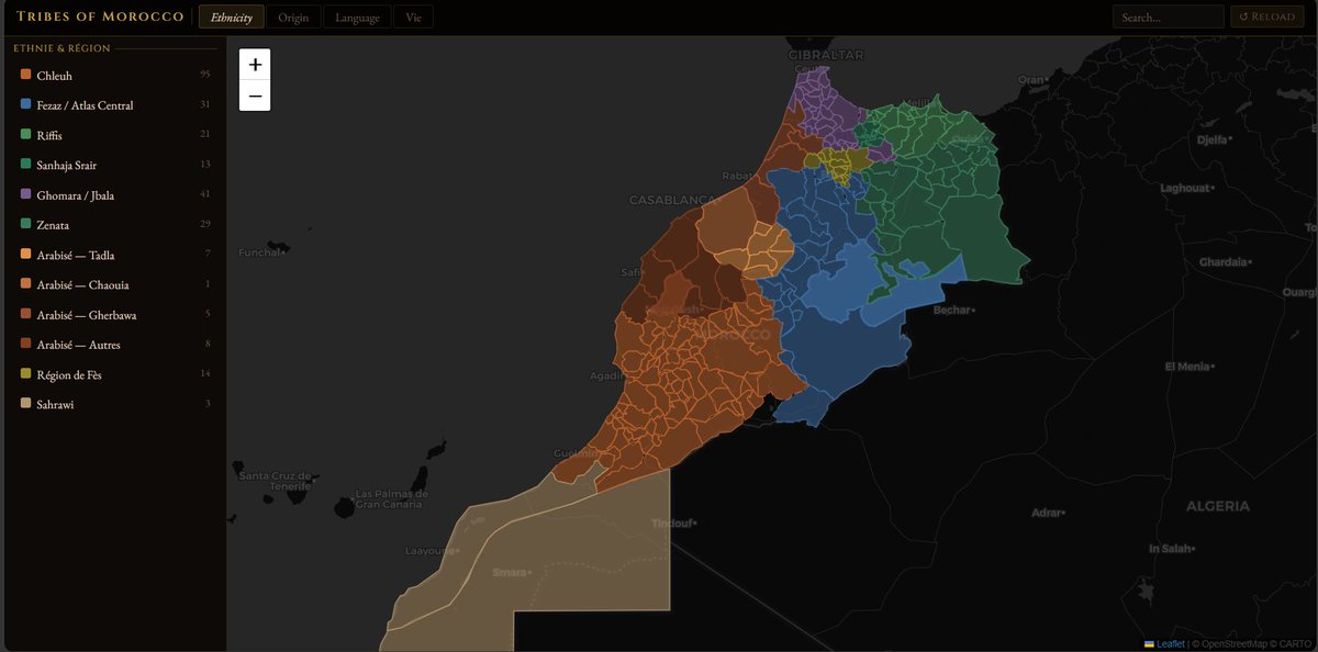 Zertox ⵣ 🇲🇦 tweet media