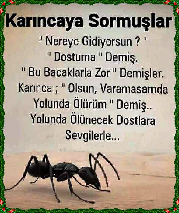 AsmKaraman's tweet photo. Can candır dedim
Düşene elimi uzattım
"Sen kimsin kimlerdensin"diye
Asla sormadım
Kalbimin sesini dinledim
Galiba ben bu hayatı
Elime,yüzüme bulaştırdım diye
Düşündüm ama
Zor günde yanımda olan
Dost kalabalığını görünce
Ben vicdan köprüsünü
Geçmişim dedim.. #SevdiğimSensin https://t.co/PJWn6YoJC6