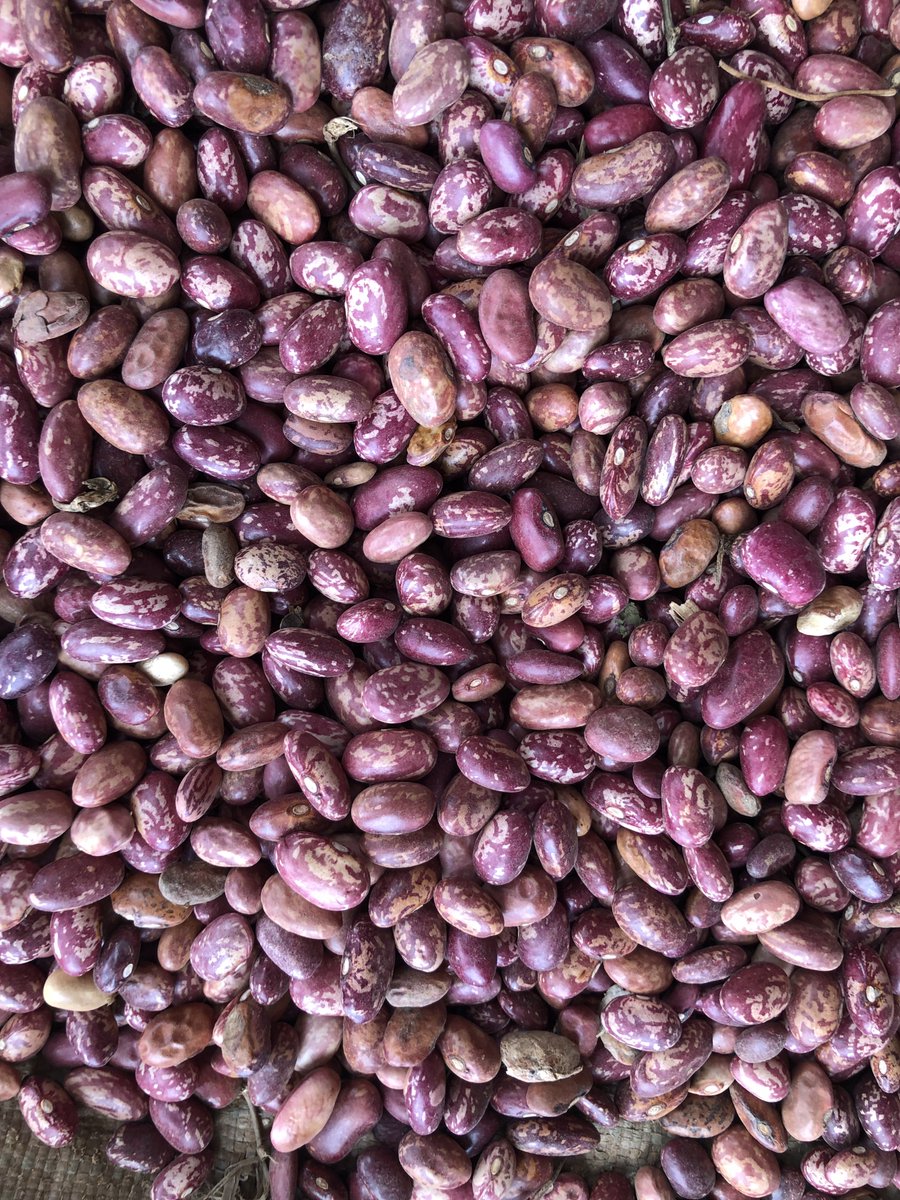 Sell and buy Beans 🫘. 🇺🇬 tweet media