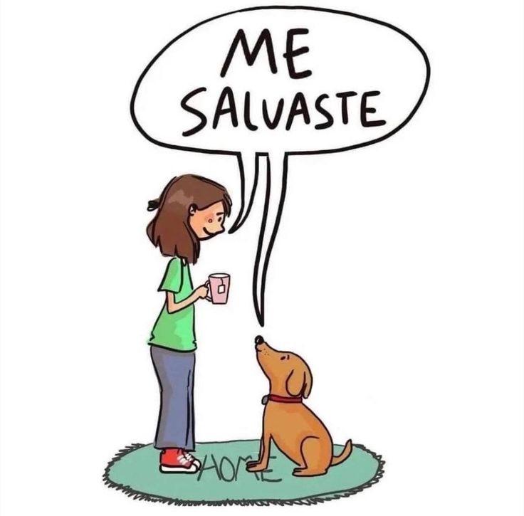 Max 🇦🇷 tweet media