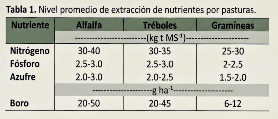 S91Eric's tweet photo. Si solo utilizamos arrancadores fosforados, estimando una producción de 10 tn MS/ha estaríamos extrayendo 25/30 kg de p y 20 a 25 kg de S, la fertilización sólo cubriría el primer año y dejan subnutrida el resto de su vida útil. https://t.co/2VML1S9580