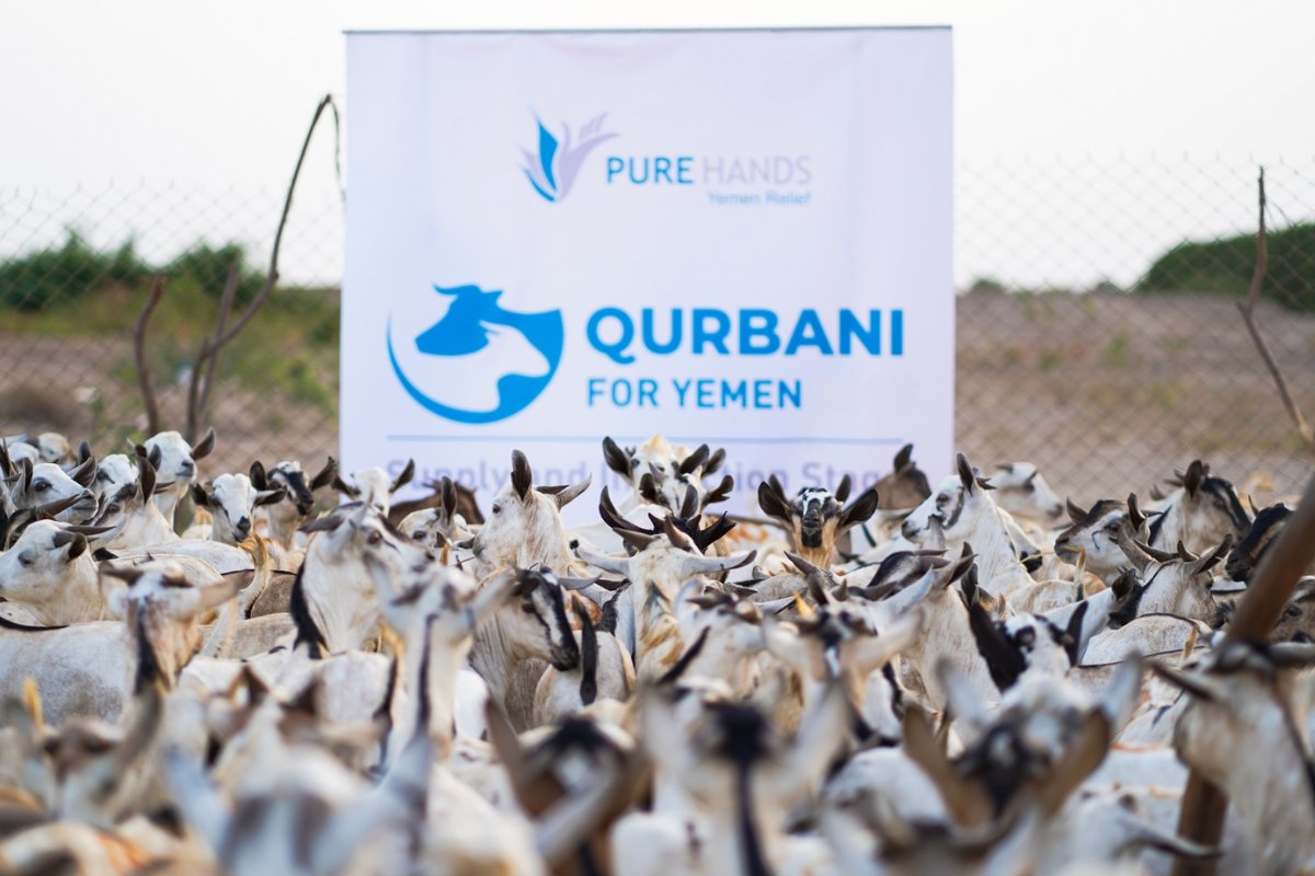 purehands2's tweet photo. 🌙 The best 10 days of the year are upon us.

For many families in Yemen, this time arrives while they struggle with food security. For many children, your Qurbani may be the only time they receive the nourishment of meat all year.

Give Your Qurbani: https://t.co/SL0L86I9rE https://t.co/TfM8qTssca