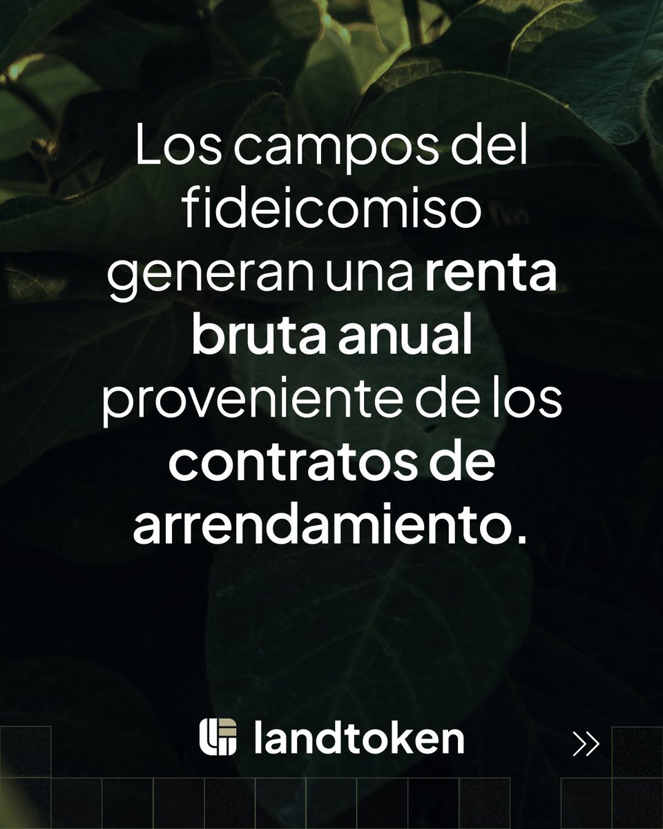 Landtoken_io's tweet photo. Renta anual + Apreciación del capital

Consultá a tu asesor de inversiones en tu sociedad de bolsa y ganá con el agro de la mano de FF Landtoken I. https://t.co/af5yRnT5Br