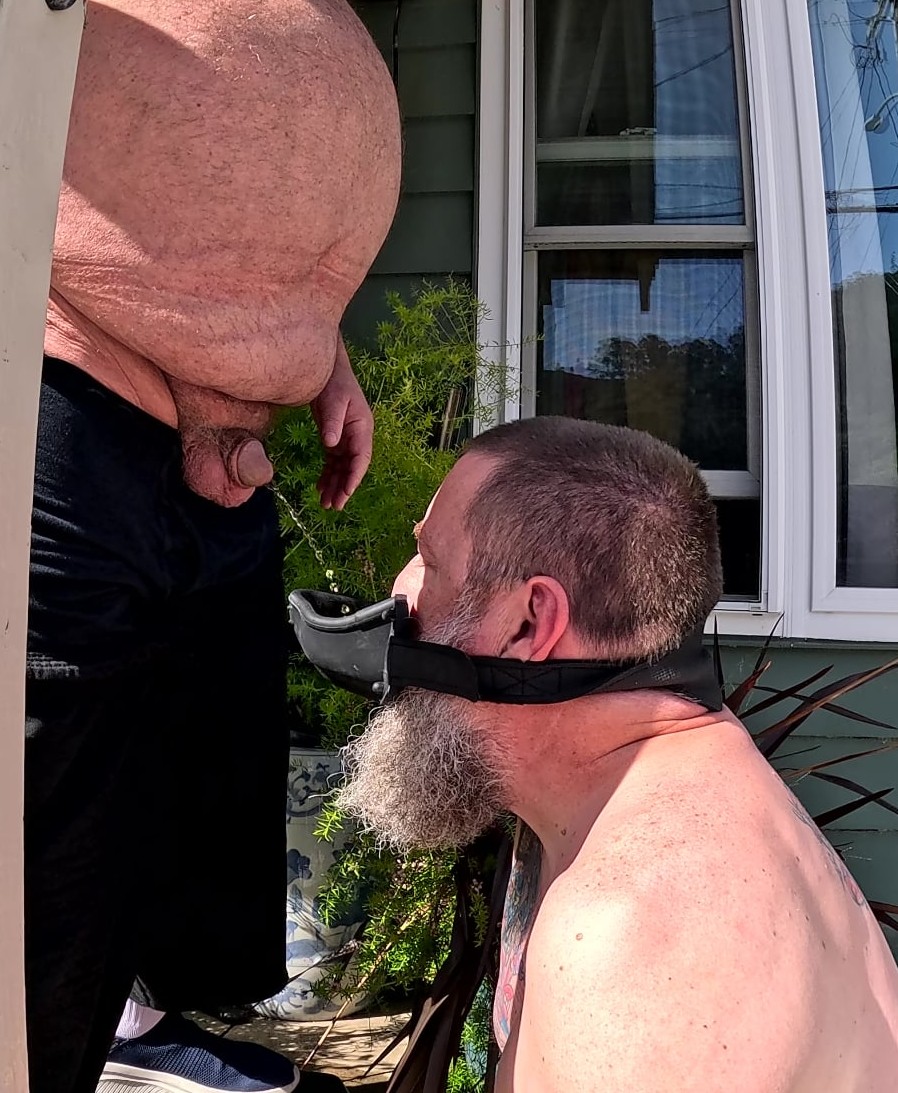 Bigolebear tweet media