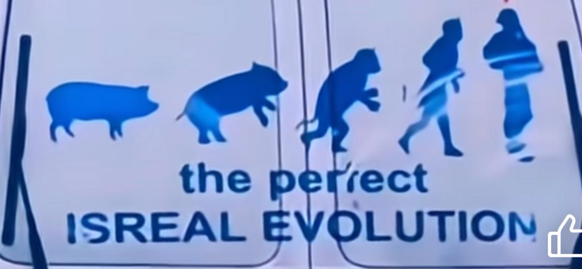 JusticeWKha's tweet photo. @Parodyjeffx The evolution of these pathetic creatures. https://t.co/hCZWPpT68s