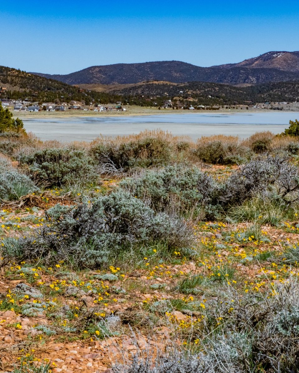 BigBearFrontier's tweet photo. Your stay comes with a side of adventure! 🏜️ Explore the unique pebble plains at Baldwin Lake Ecological Reserve just minutes away. Join a free guided tour every Saturday and see what makes this reserve so special. https://t.co/4prl82J1Hg