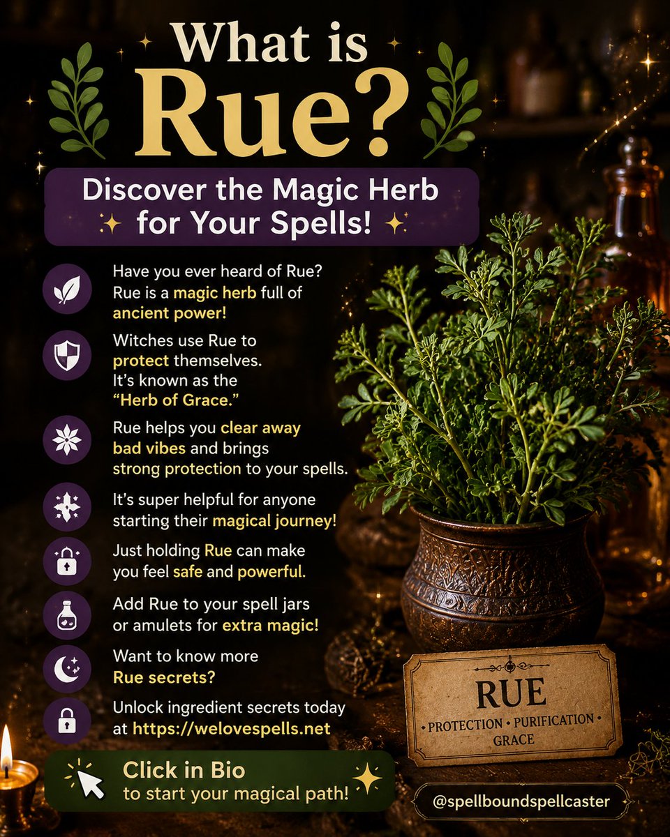 SpellsAndPsychi's tweet photo. Rue meaning: this sacred herb is known for protection, harmony, and clearing heavy energy. Add it to your ritual for a deeper sense of connection and alignment. Learn more at https://t.co/Xud25zh0Qs 🌿✨🛡️ #belindarituals #RueMeaning #HerbOfGrace #ProtectionRitual https://t.co/QK0wFBe66b