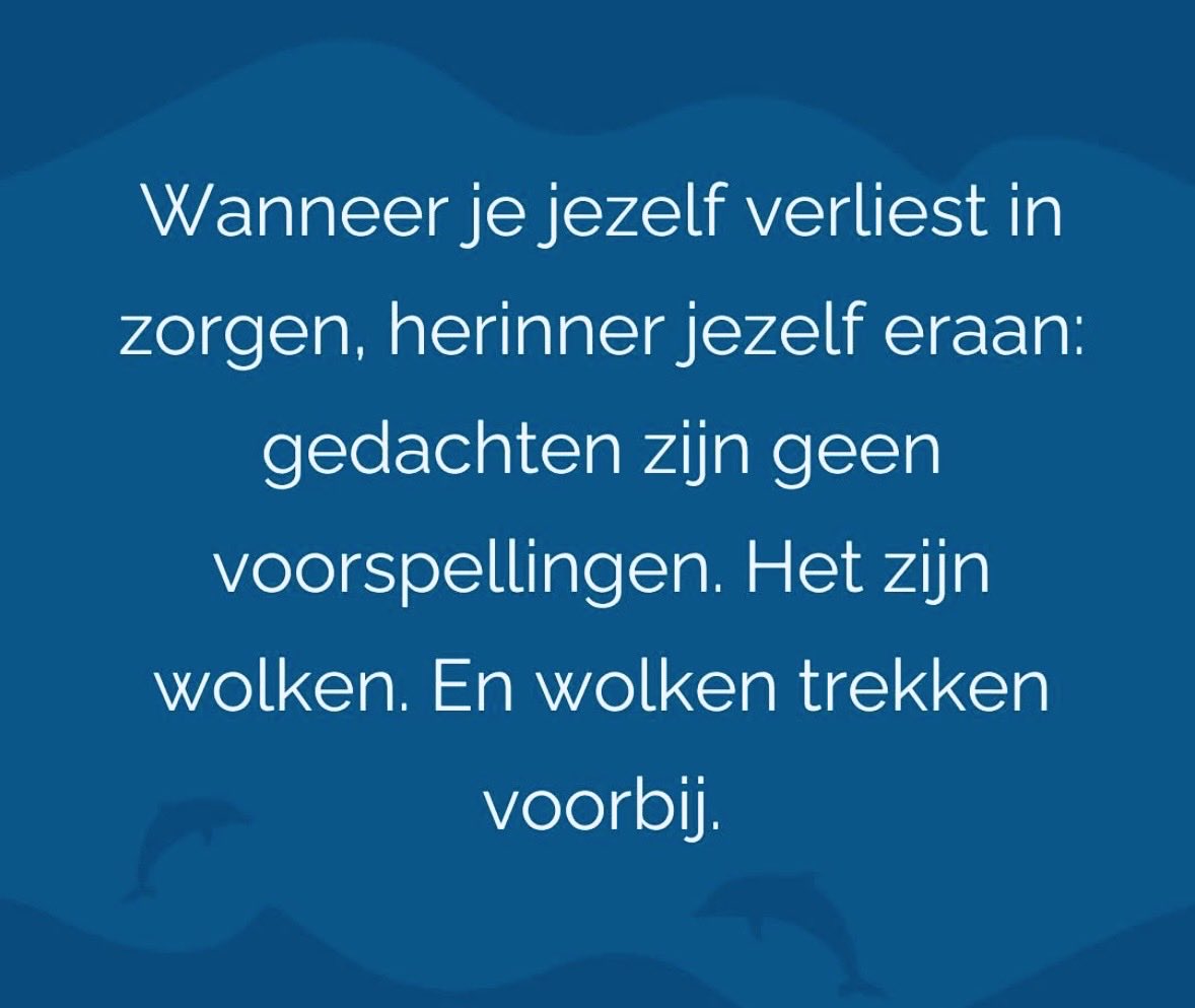 manonscher's tweet photo. https://t.co/bmGG5s1qz1