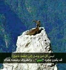 m7med♤ tweet media