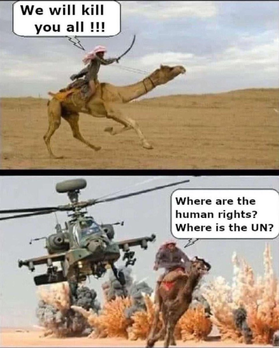 Omri tweet media