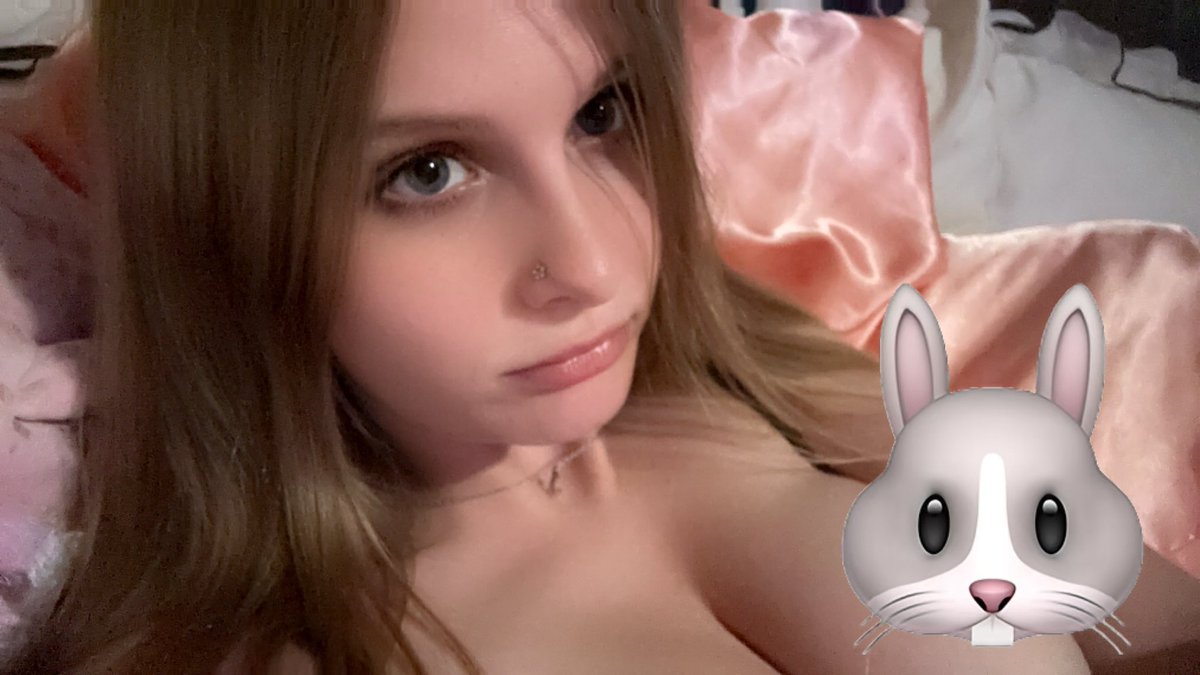 ݁ ˖Ი𐑼⋆ tweet media