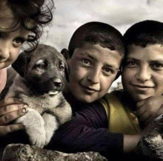 ADR MEDYA (Yeni hesap) tweet media