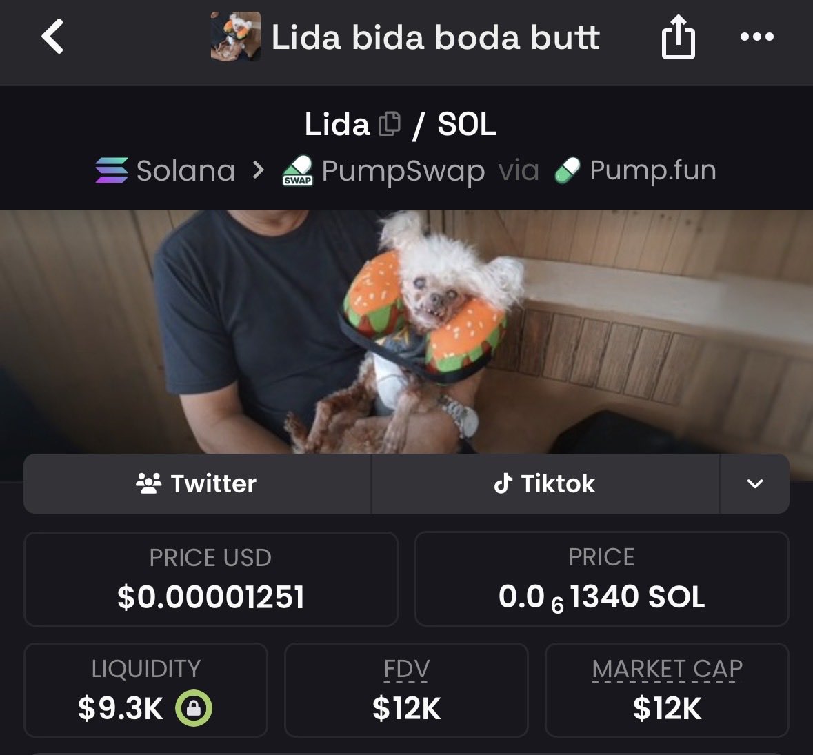 drlowcap(PHD) tweet media