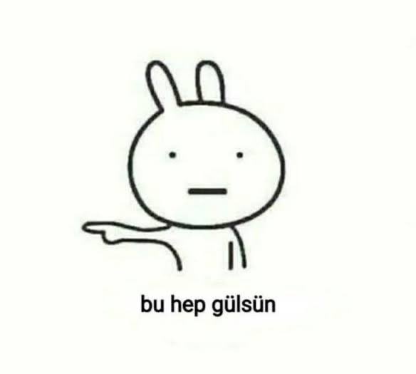 icardinin elli tonu tweet media