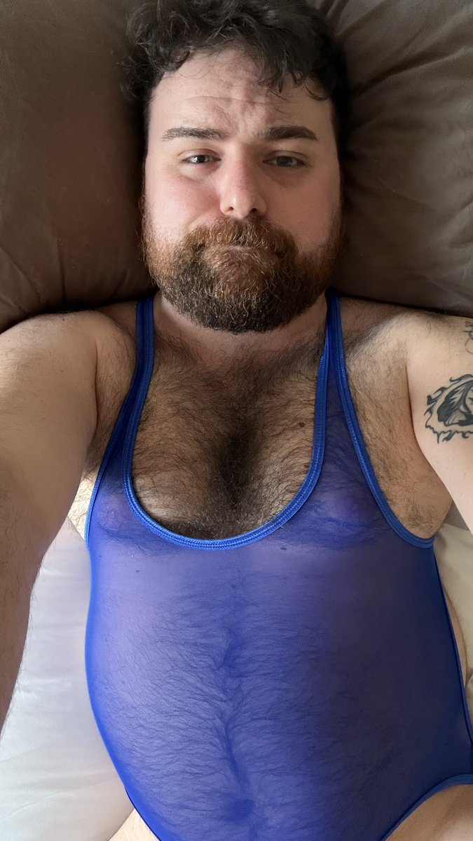 Joe 🐻 tweet media