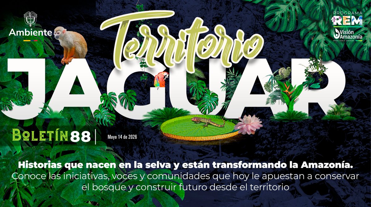REM Colombia - Visión Amazonía tweet media