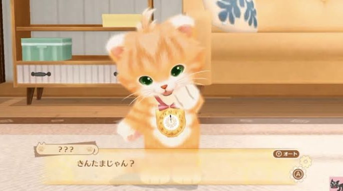 ぽんきち tweet media