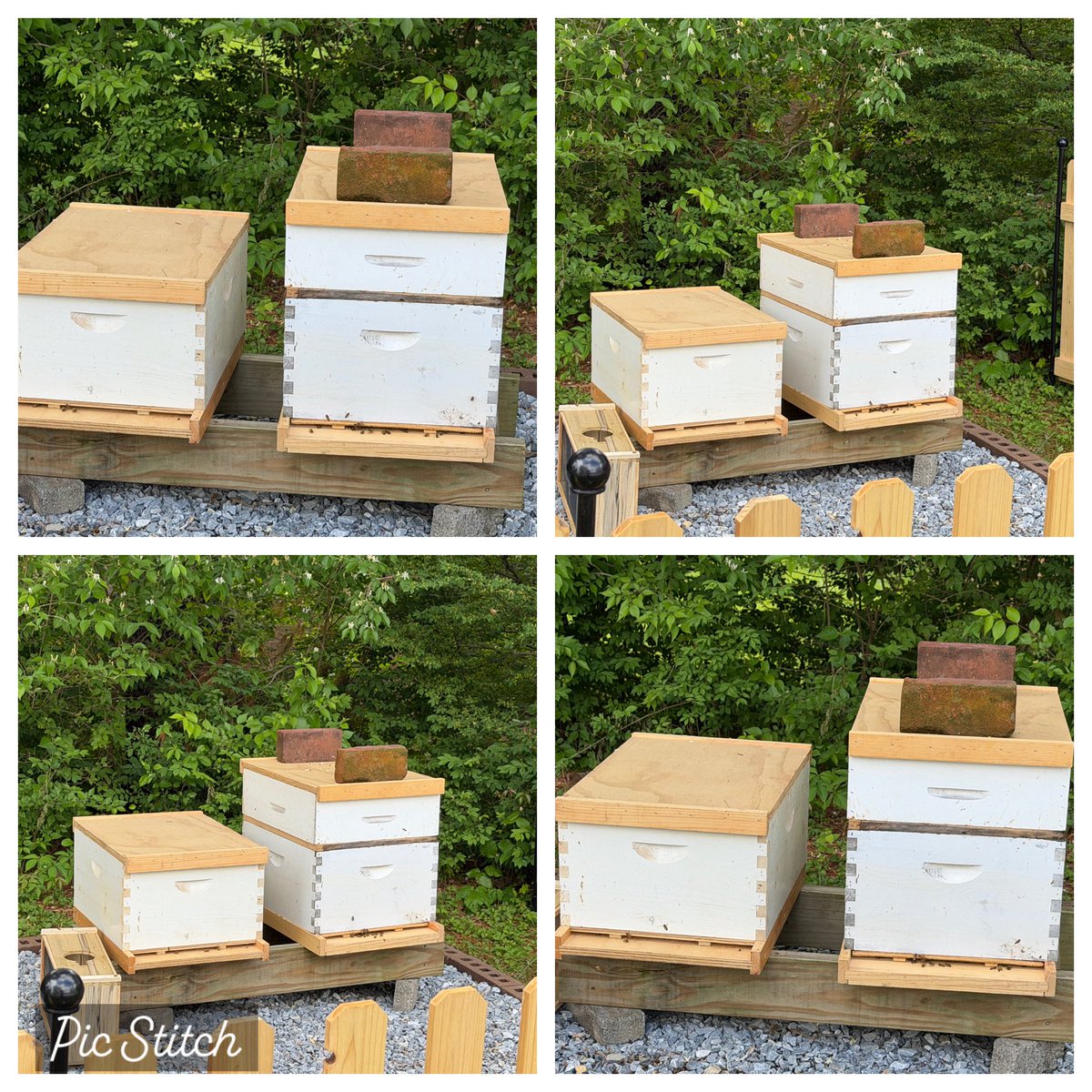 MrPowell20's tweet photo. Happy Thursday! Today was a busy day! Today K was able to have some time to free build with LEGOs! Then 1st grade worked on coding and debugging the #VEX123 robot! Then I went for a walk today and got to see our schools #apiary! It was very cool! #STEM #teacher https://t.co/g1dCQsUIlK