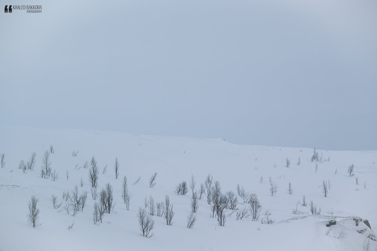 KBakkora's tweet photo. #Snow has a way of simplifying things ❄️
#Norway #Tromso #Nature #Landscape #White #Minimal #Photography #Art https://t.co/7AIshvB1Oa
