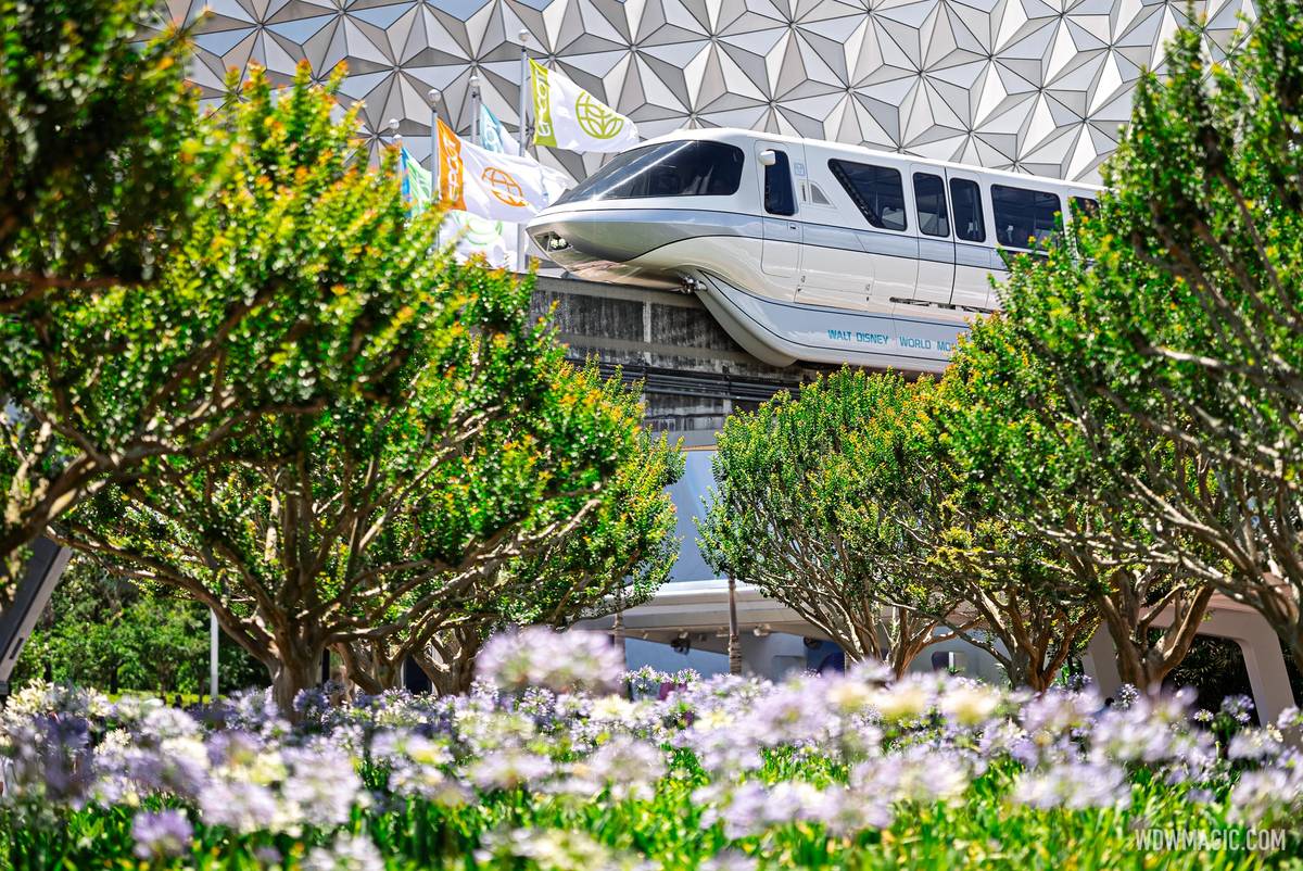 WDWMAGIC.COM tweet media