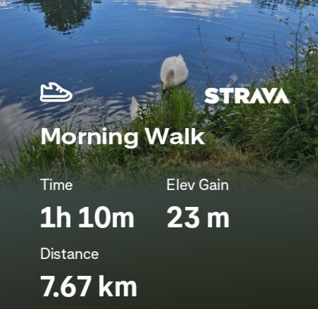 whiteumbro99's tweet photo. 12k #steps✅️🚶♂️from the walk, 19K in total for the day.
#stpes #morningwalk #cardio https://t.co/4PSL4Hq3vi
