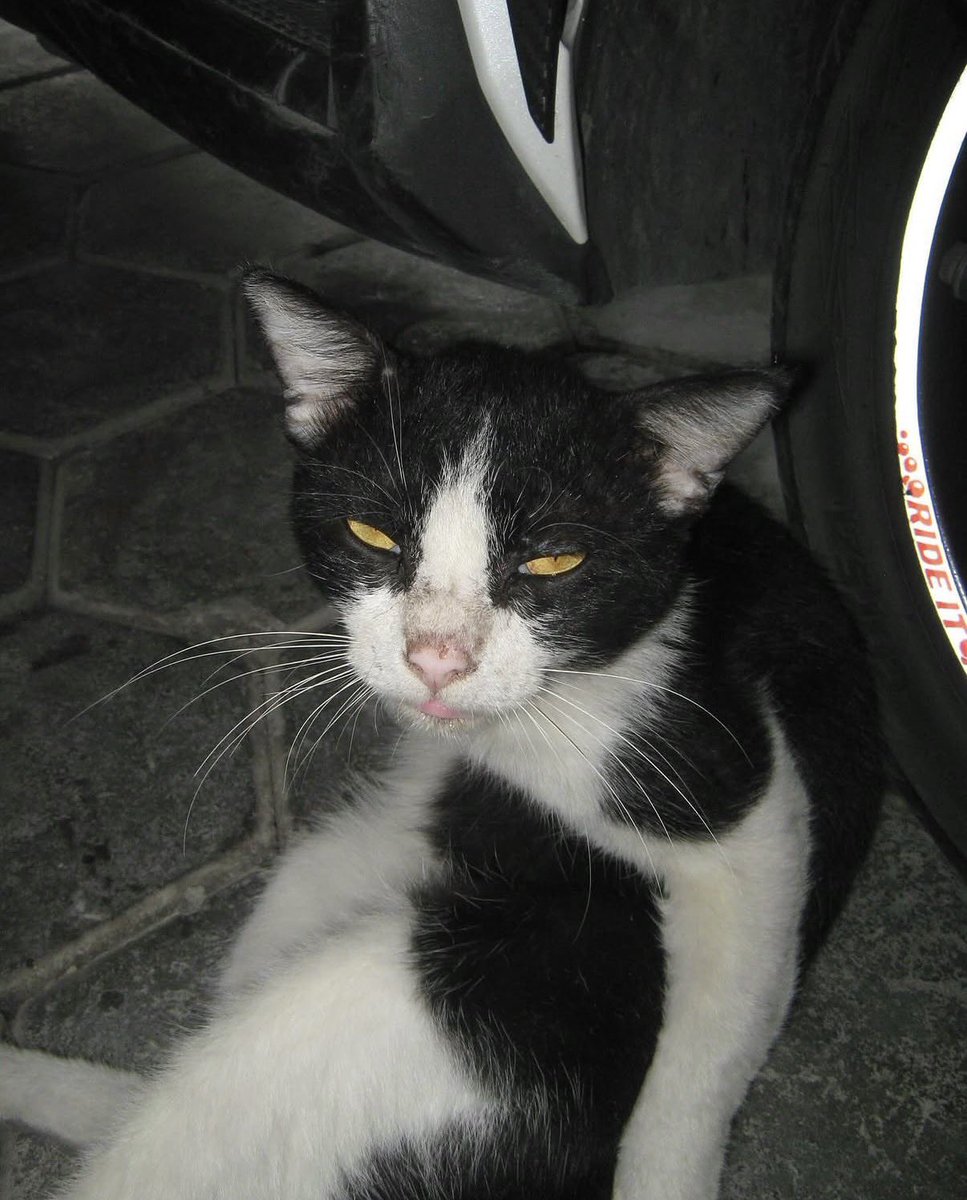 nitaaaa ||WTS DIGICAM tweet media